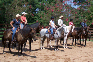 Horsemanship Clinics
