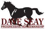 Dave Seay Progressive Horsemanship